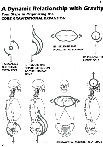 Assessment And Treatment Of Lower Back Pain | UHT Shop